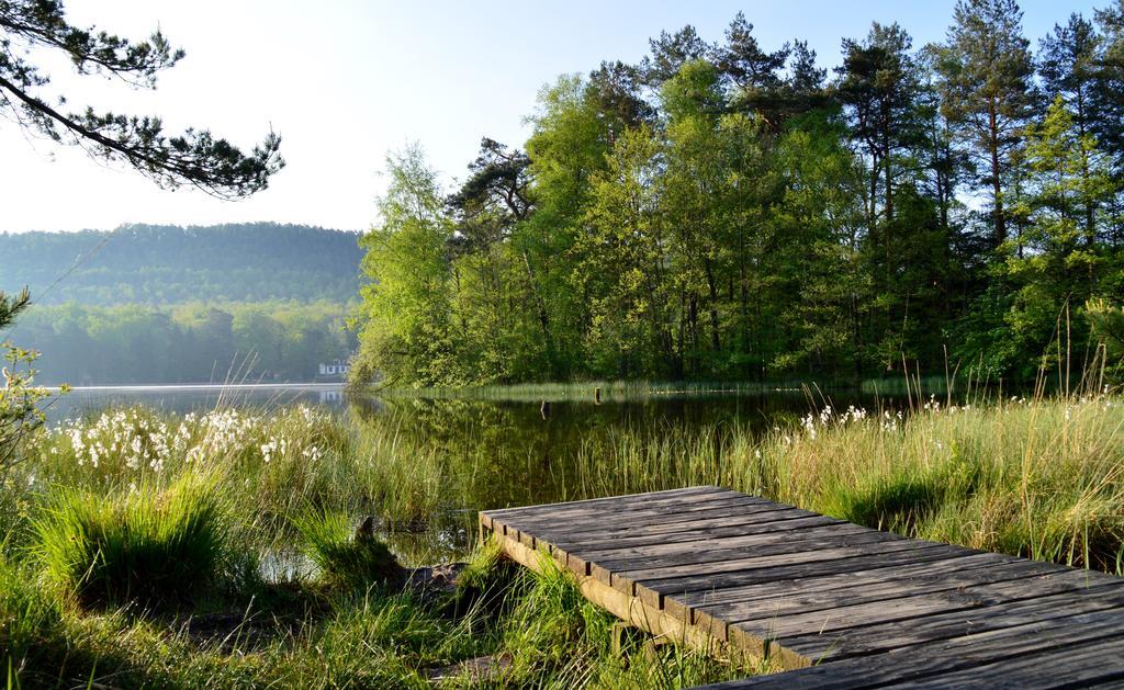 Le Gite De L'Ecureuil Sturzelbronn Kültér fotó