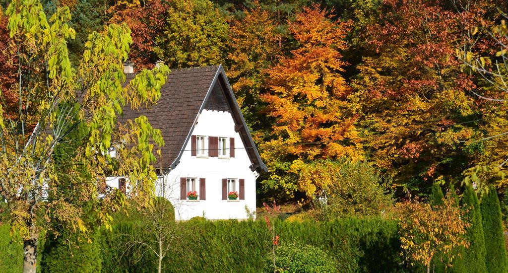 Le Gite De L'Ecureuil Sturzelbronn Kültér fotó