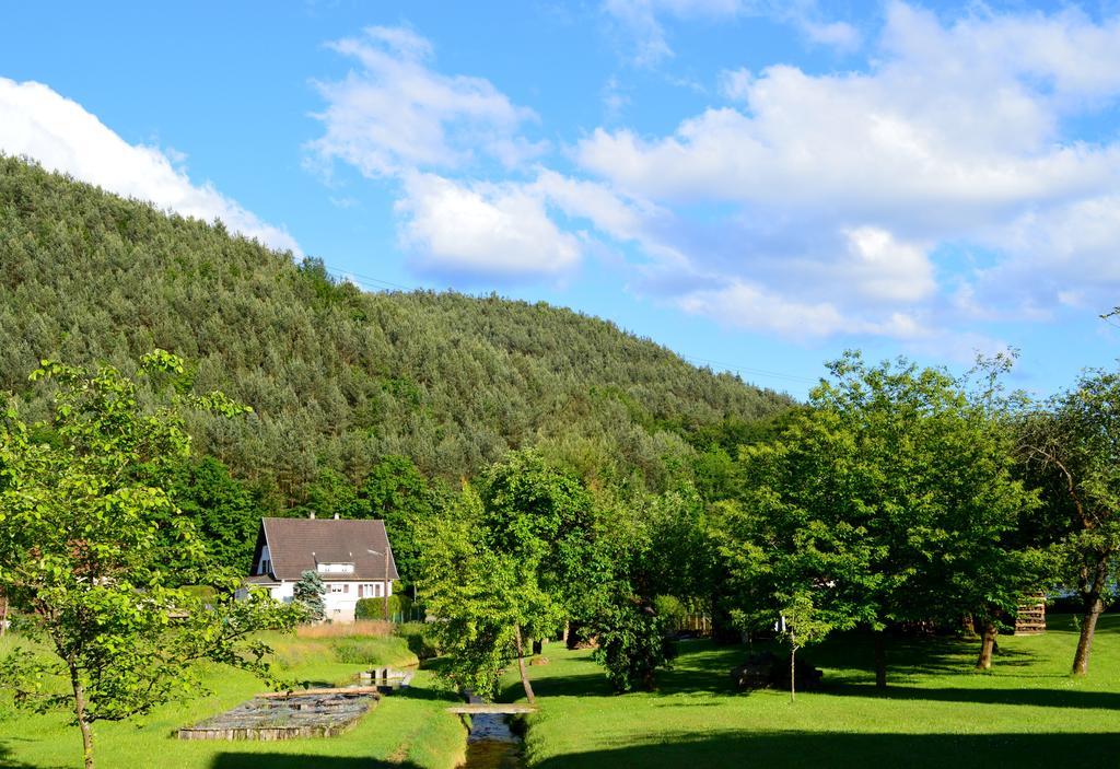 Le Gite De L'Ecureuil Sturzelbronn Kültér fotó