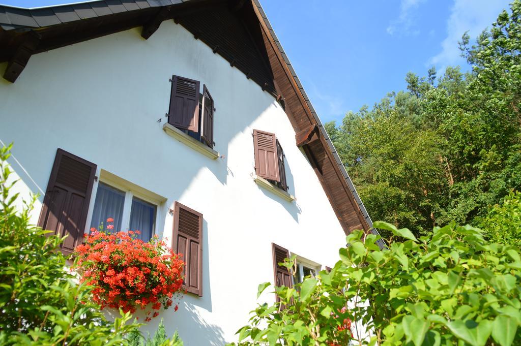Le Gite De L'Ecureuil Sturzelbronn Kültér fotó