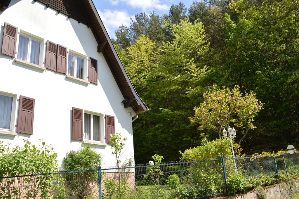 Le Gite De L'Ecureuil Sturzelbronn Kültér fotó