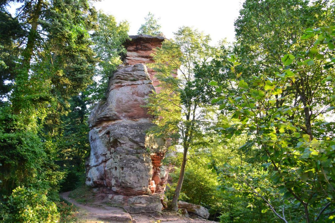 Le Gite De L'Ecureuil Sturzelbronn Kültér fotó